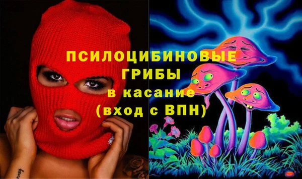 герыч Богородск