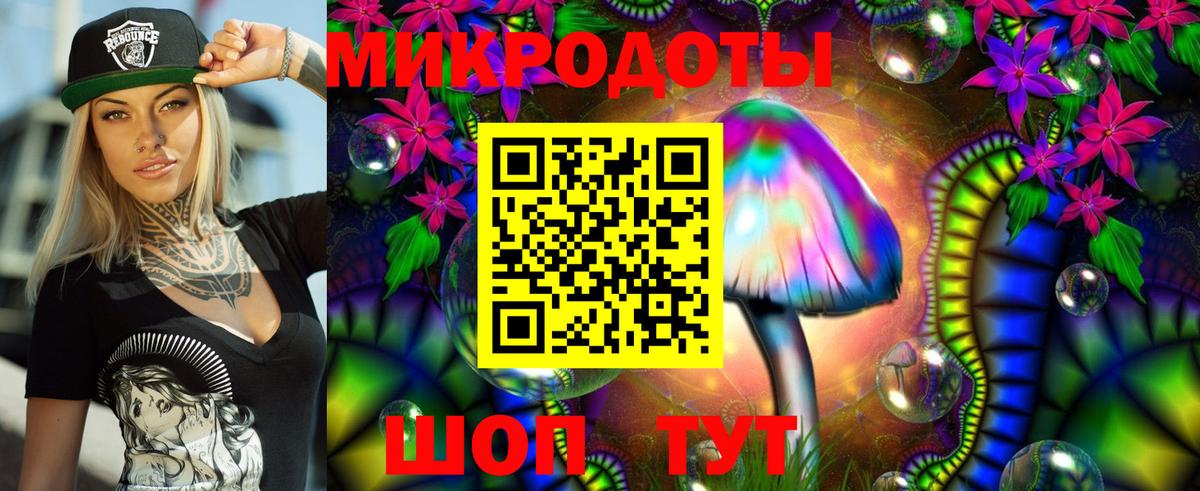 Кириши  Галлюциногенные грибы Cubensis  Вход с VPN 